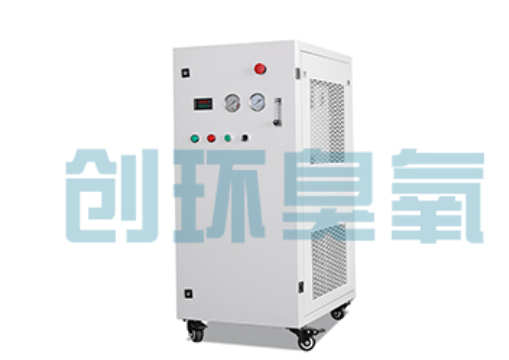 巴彦淖尔石斑鱼养殖水质调控完整指南：臭氧发生器配置与操作步骤