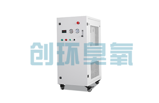 巴彦淖尔比传统换水更高效？臭氧发生器在石斑鱼养殖中的水质净化原理解析